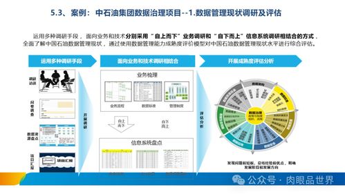 XX集团数据治理体系建设方案 数据处理与存储服务